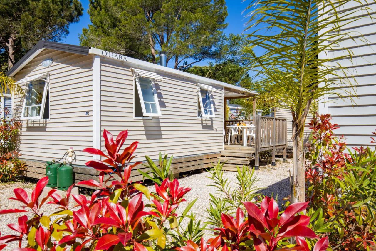 Camping Taxo Les Pins 아르젤레쉬르메르 외부 사진