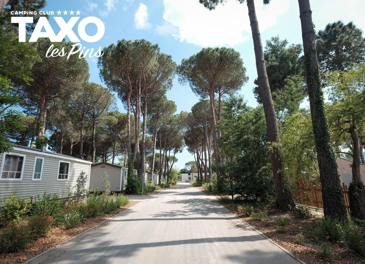 Camping Taxo Les Pins 아르젤레쉬르메르 외부 사진