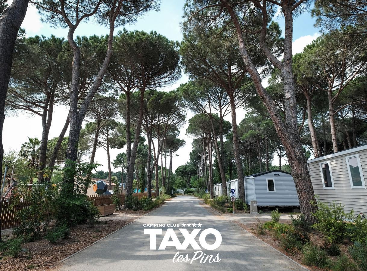 Camping Taxo Les Pins 아르젤레쉬르메르 외부 사진