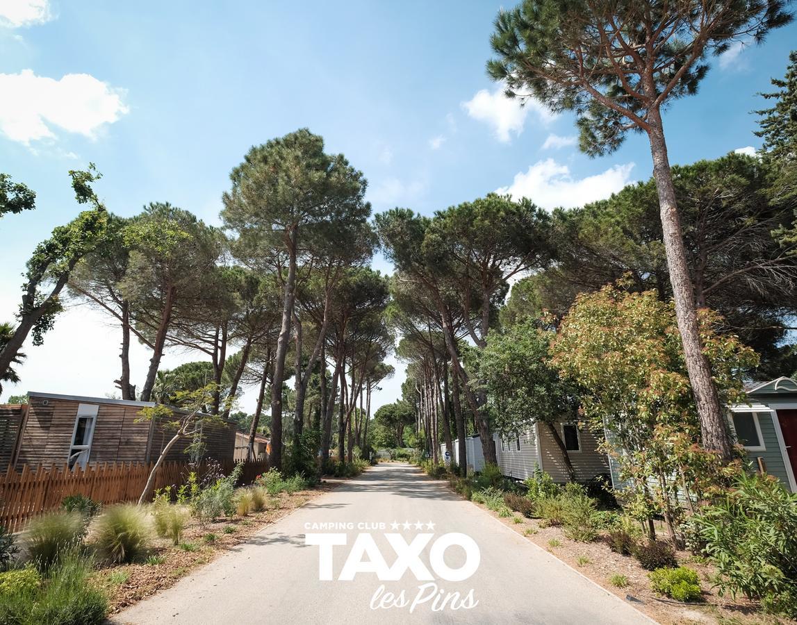 Camping Taxo Les Pins 아르젤레쉬르메르 외부 사진