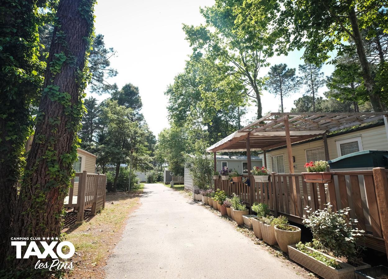 Camping Taxo Les Pins 아르젤레쉬르메르 외부 사진
