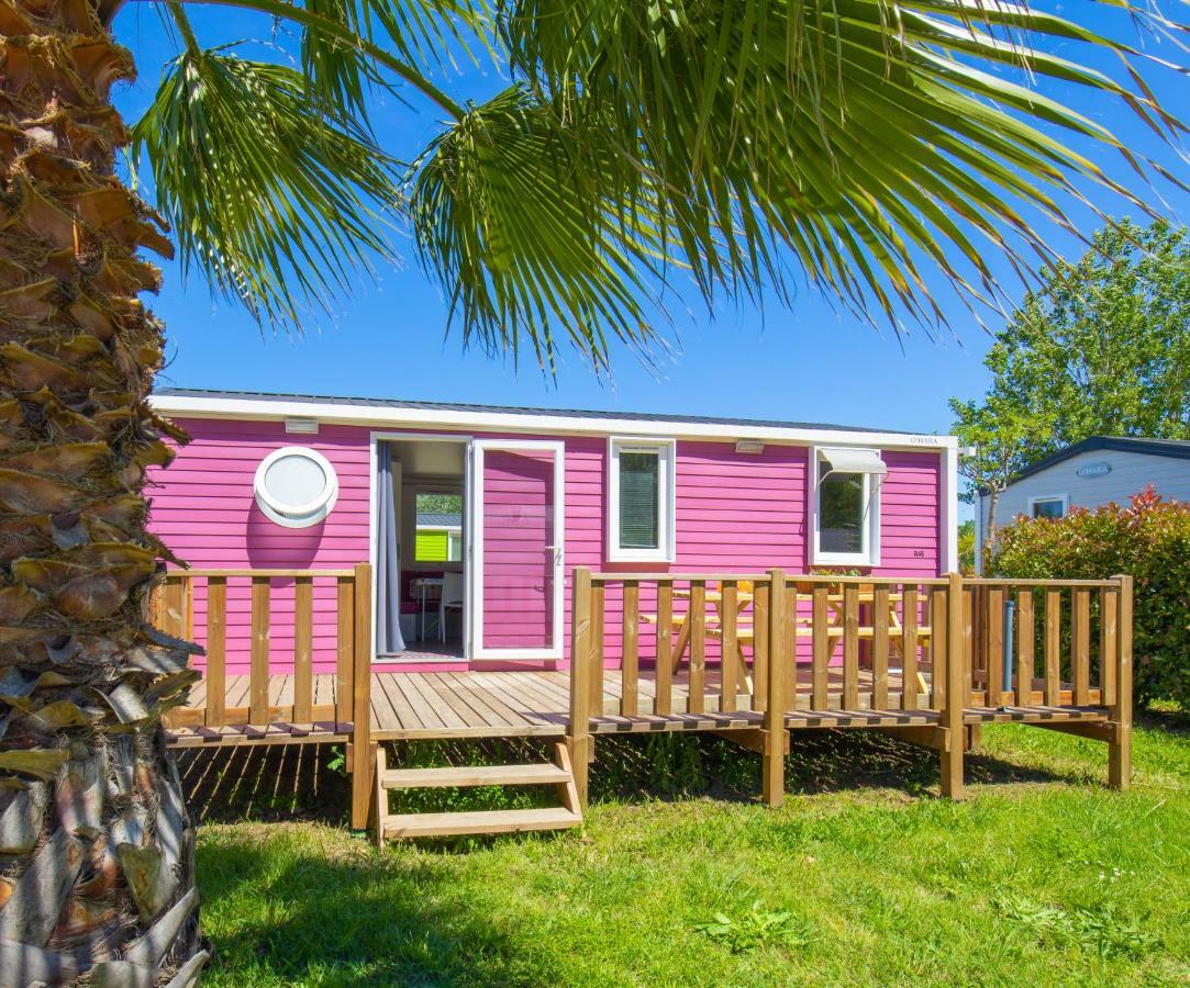 Camping Taxo Les Pins 아르젤레쉬르메르 외부 사진