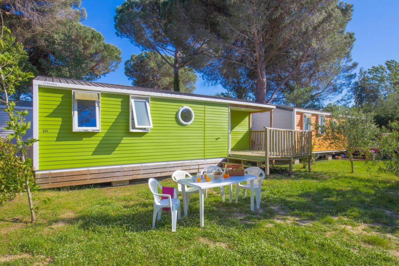 Camping Taxo Les Pins 아르젤레쉬르메르 외부 사진