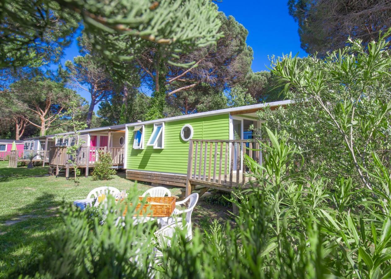 Camping Taxo Les Pins 아르젤레쉬르메르 외부 사진